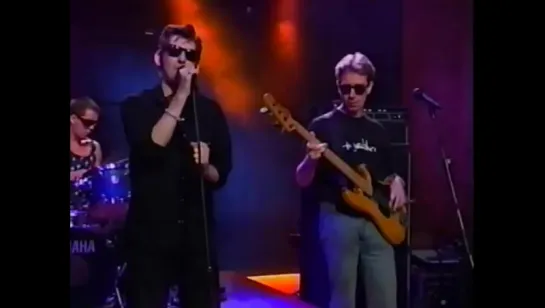 Shane MacGowan and the Popes - Whisky Nancy