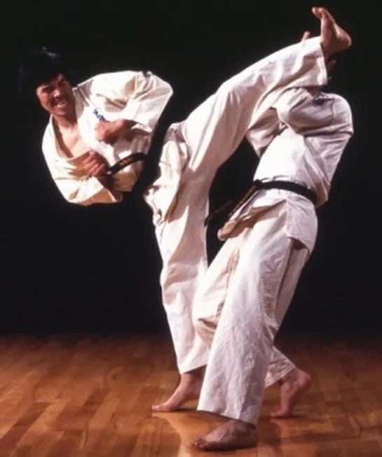 Awesome_Karate_Knockouts