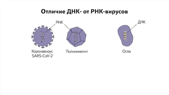 Кургинян – сторонникам и противникам вакцинации_ оставьте ваш тон