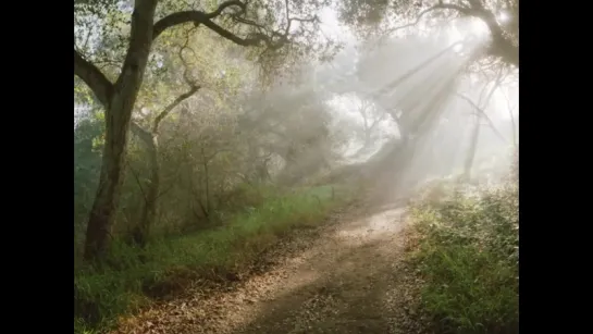 a-ha - Here I Stand And Face The Rain