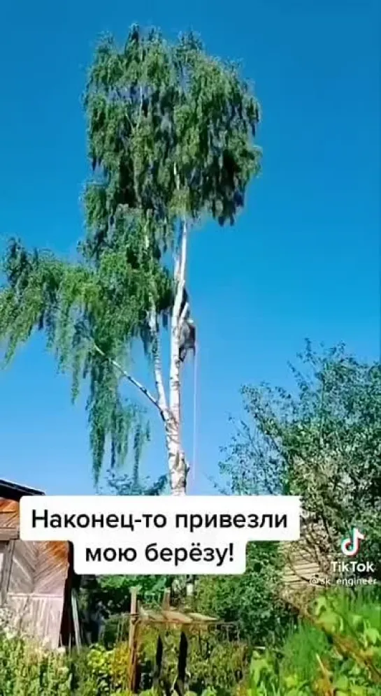 Видео от елибицо