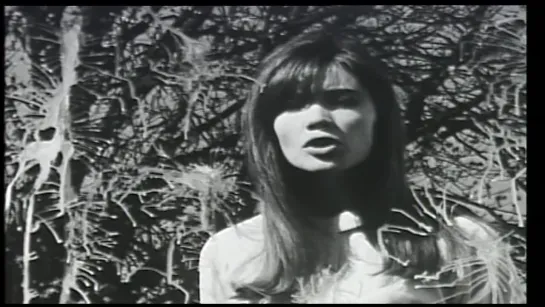 Françoise Hardy — Mon Amie La Rose = Le Temps Des Souvenirs