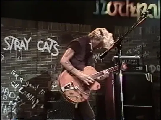 Stray Cats — Storm The Embassy • 1981-07-16 - Sartory-Sale Koln - Germany