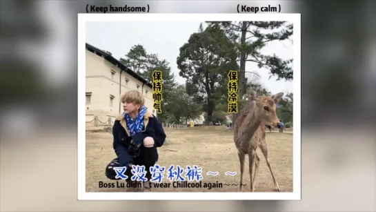 The Theater of Running Lu The Return Of The Deer King