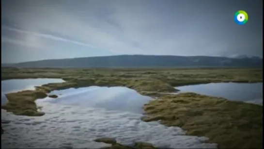 В Антарктиде обнаружены вмёрзшие в лёд НЛО. ...