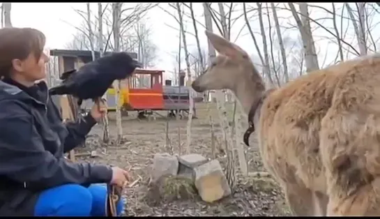 Видео от Микромир