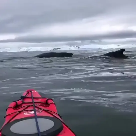 Видео от КПД