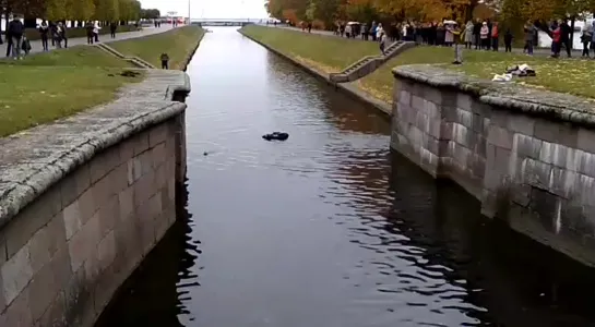 Видео от Ольги Камольниковой