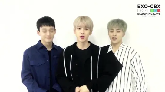 180410 EXO CBX @ EXO-CBX MelOn Message