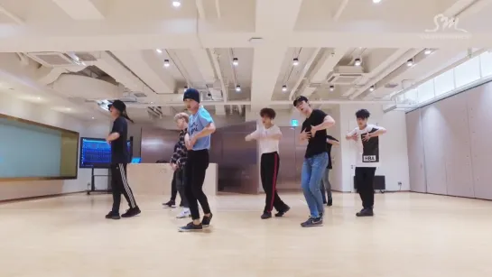 EXO 전야 (前夜) (The Eve) Dance Practice ver.