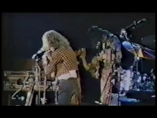 Jethro Tull - The Minstrel Looks Back (1969 - 1977) DVD 2