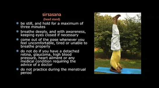 Sivananda Yoga - Basic Level_02 Tutorial