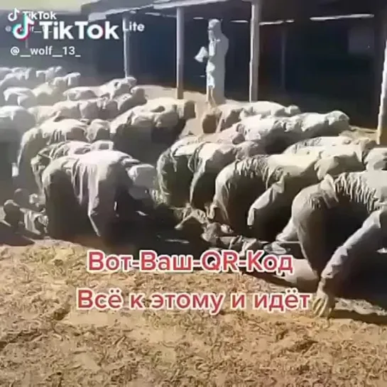 Видео от Исполком