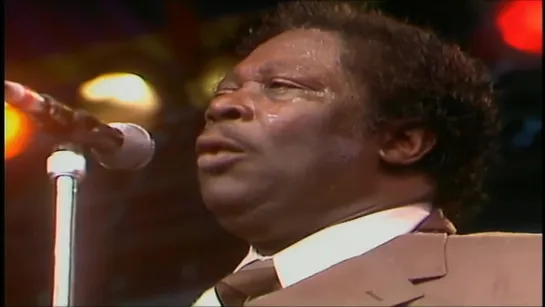 B.B. King - Don't Answer The Door (Live At The North Sea Jazz Festival.The Hague, Netherlands 13 July 1985)