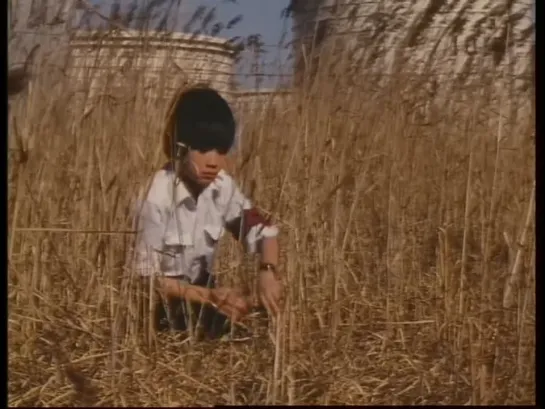 Yellow Magic Orchestra — 過激な淑女 • A Y.M.O. Film Propaganda