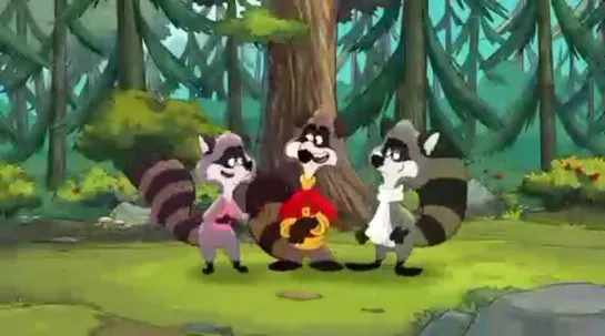 the raccoons 2019