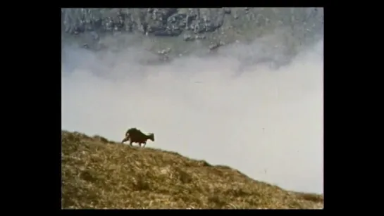 St Kilda The Lonely Islands 1966 documentary