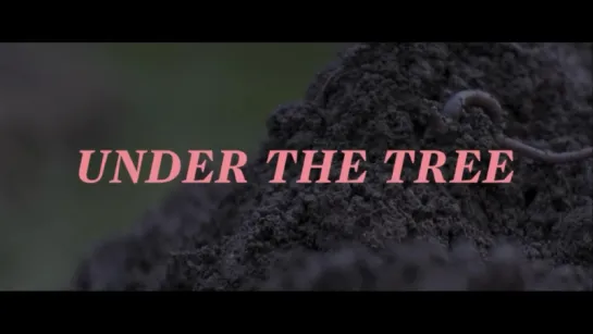 UNDER THE TREE - UNDIR TRÉNU - Trailer