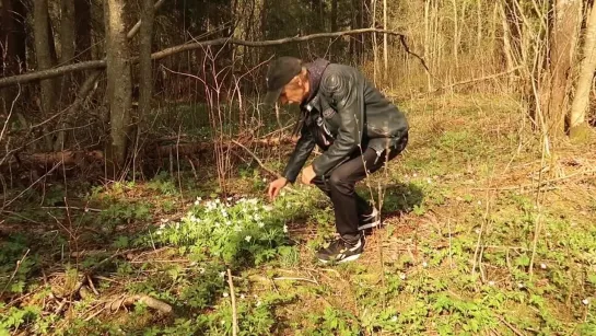 Сергей Орлов - Подснежники Цветут (2022)