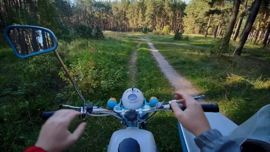 ИЖ Юпитер 3 с коляской. Приключения в летнем лесу 🏞️