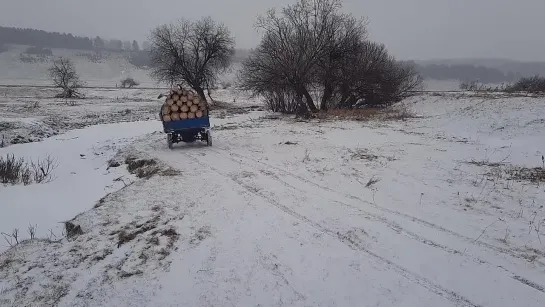 Мотороллер 🐜Муравей🐜 и лесозаготовка 🌲🌳