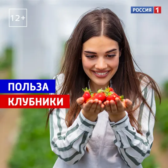 Польза клубники — Россия 1