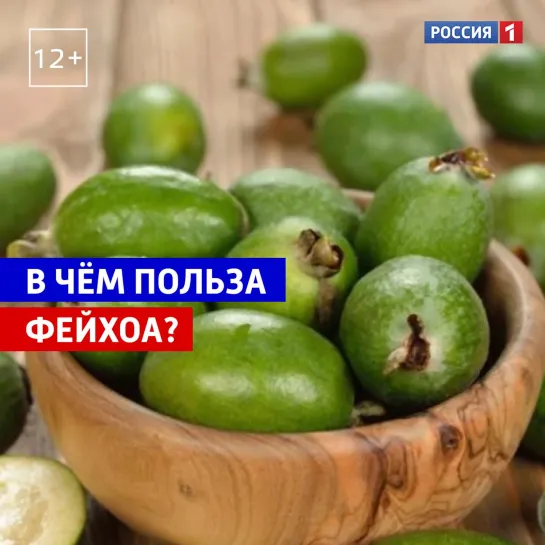 Польза фейхоа — Россия 1