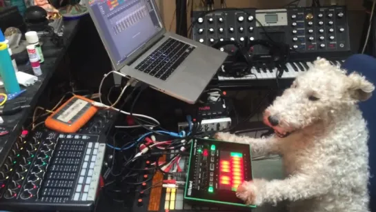 Techno Dog