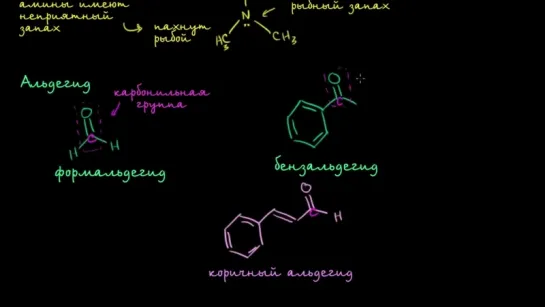 Введение в альдегиды