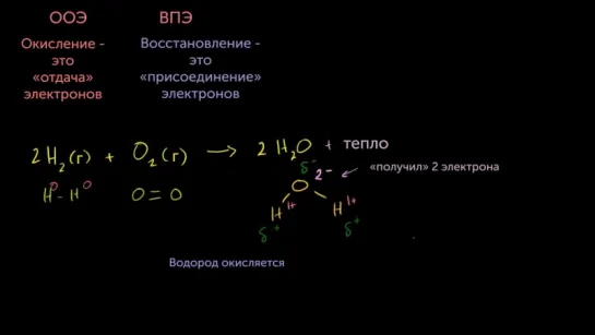 Окисление и восстановление с биологической точки зрения