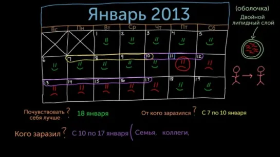 Заражение гриппом и распространение гриппа (Раздел: грипп)