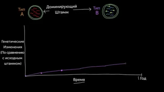 Сдвиг и дрейф гриппа (Раздел: грипп)