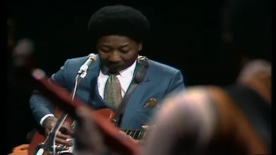 Muddy Waters – Honey Bee