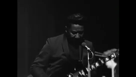 Muddy Waters at the Copenhagen Jazz Festival (1968)