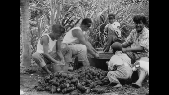 The Hawaiian Islands, 1924