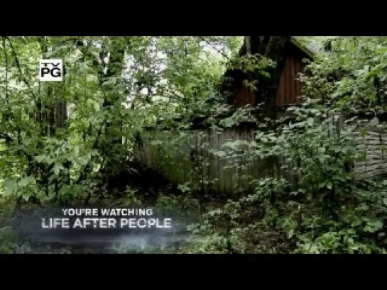 Будущее планеты: Жизнь после людей / Life After People (США, 2008)