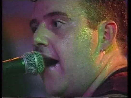 The Meteors — Vibrate • Video Nasty