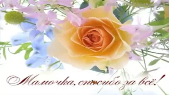 ╭•⊰✨🌺✨₪╬►•⊰Мамочка, спасибо за все!•⊰◄╬₪✨🌺✨⊱•╮