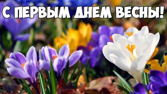 Привет ✨🌺✨⊱•╮Весна╭•⊰✨🌺✨