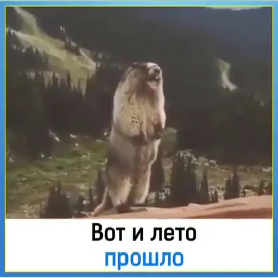 Вот и лето прошло