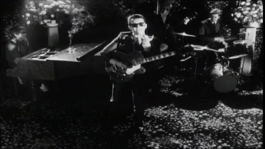 Elvis Costello — New Lace Sleeves