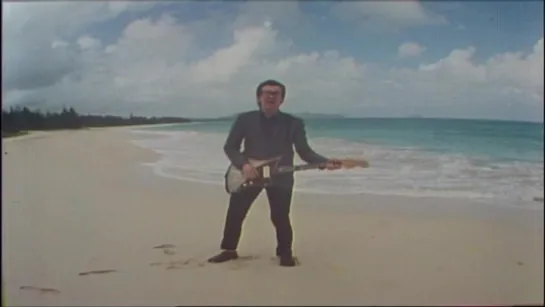 Elvis Costello — Olivers Army