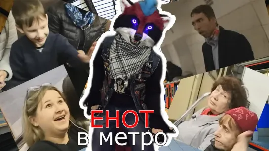 Енот в метро