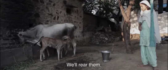 The Hour of Lynching: Vigilante Violence in India (2019) dir.  Amit Madheshiya, Shirley Abraham