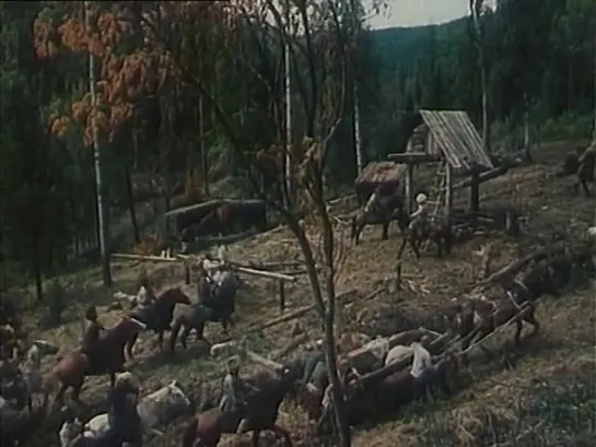 Не ставьте лешему капканы (СССР, 1981)