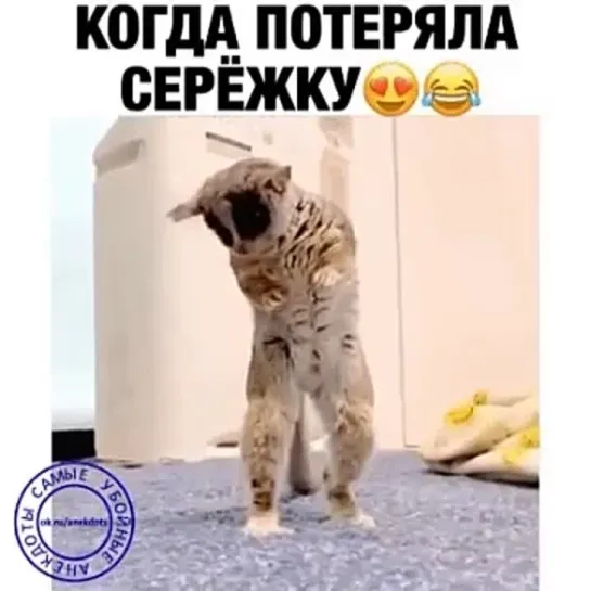 Видео от Светланы Соколовой