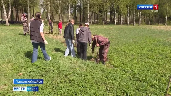 В ПАМЯТЬ О 19 СОЖЖЕННЫХ ДЕРЕВНЯХ БЕРЕЗОВАЯ АЛЛЕЯ ПАМЯТИ ПОЯВИЛАСЬ У МЕМОРИАЛА В КРАСУХЕ.