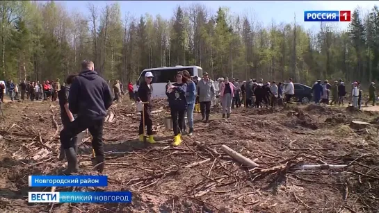 НОВГОРОДЦЫ УЧАСТВУЮТ В АКЦИИ «САД ПАМЯТИ»