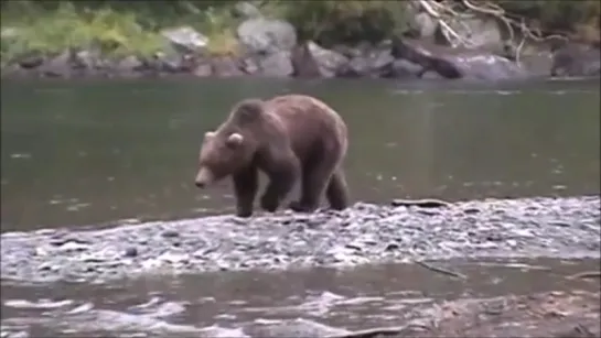 Это тоже Колыма...Рыбалка с медведями...