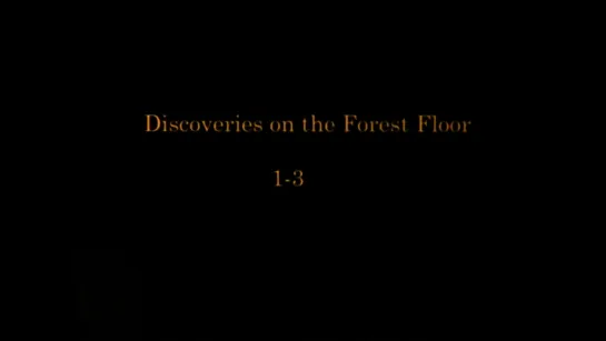 Discoveries on the Forest Floor 1-3 (2007) dir. Charlotte Pryce [1080p]